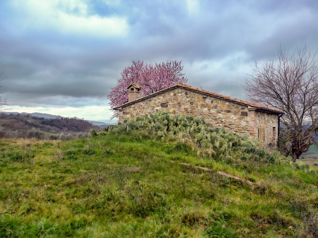 Agriturismo Le Canterie Radicondoli Dış mekan fotoğraf