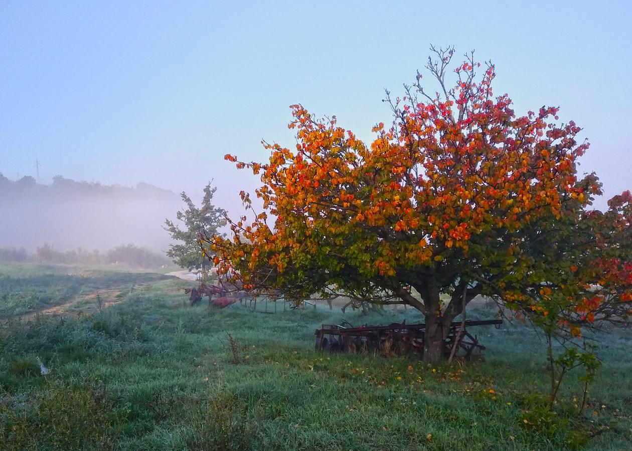 Agriturismo Le Canterie Radicondoli Dış mekan fotoğraf