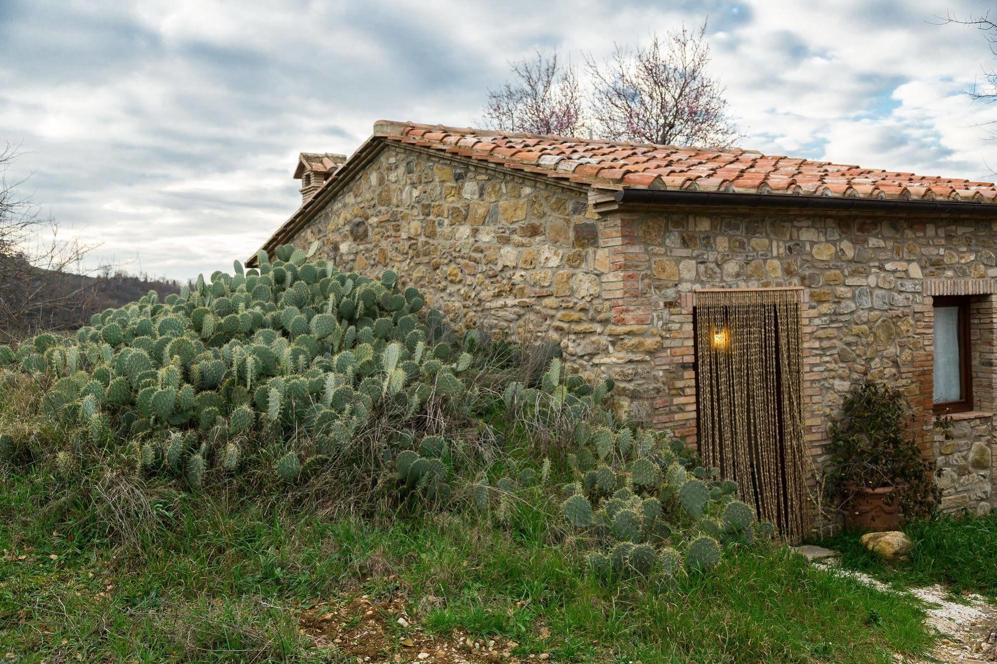 Agriturismo Le Canterie Radicondoli Dış mekan fotoğraf