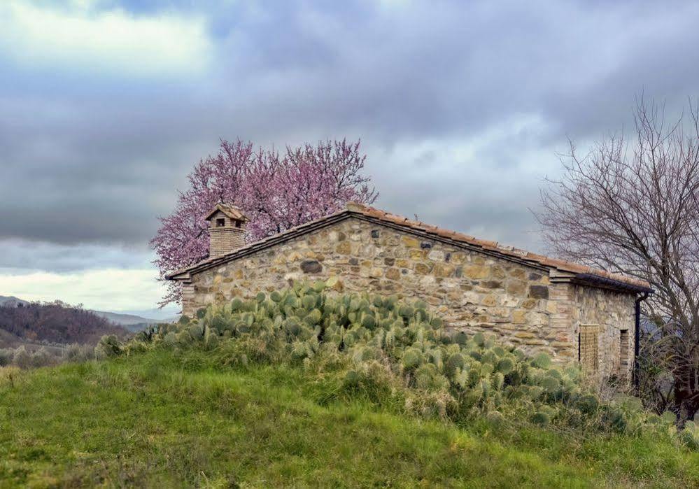 Agriturismo Le Canterie Radicondoli Dış mekan fotoğraf